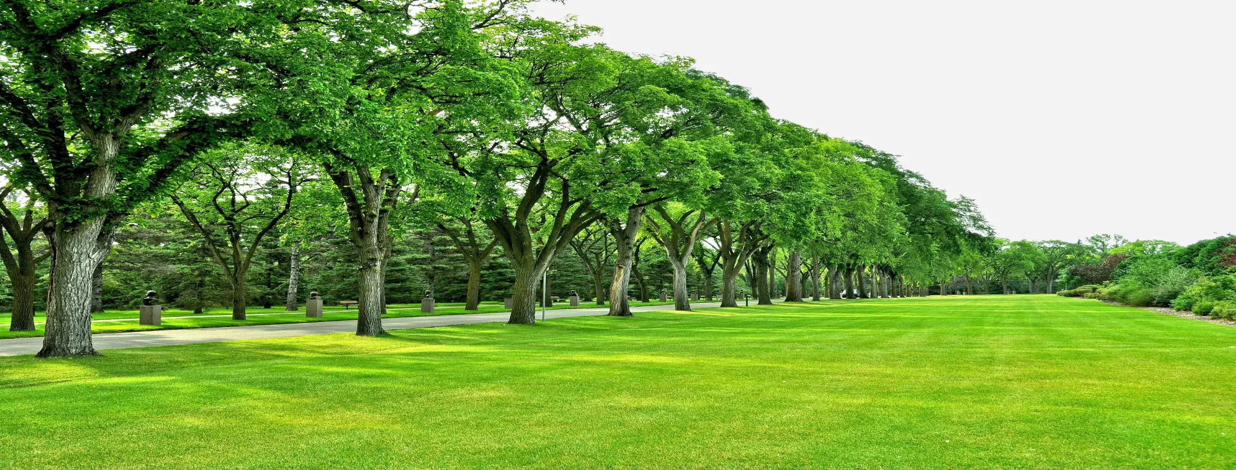 Image for Sanctuaries of Serenity